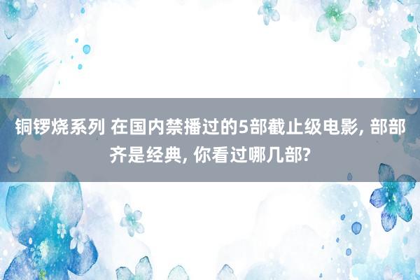 铜锣烧系列 在国内禁播过的5部截止级电影, 部部齐是经典, 